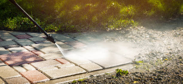 Best Animal Enclosure Cleaning  in Karnes City, TX